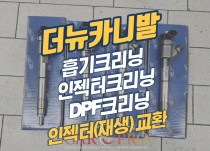 더뉴카니발 흡기크리닝,인젝터크리닝,DPF크리닝 정비