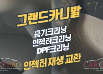 그랜드카니발 흡기크리닝, 인젝터크리닝, DPF크리닝