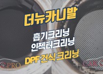 더뉴카니발 흡기크리닝, 인젝터크리닝, DPF크리닝 정비