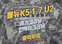 올뉴K5 1.7 U2 출력부족으로 흡기, 인젝터크리닝 정비
