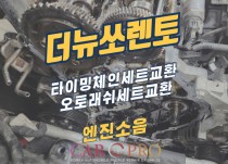 더뉴쏘렌토 쇠갈리는소음 정비