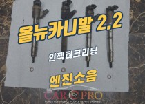 올뉴카니발 엔진소음 정비