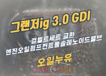 그랜저ig 3.0 GDI 오일누유 정비