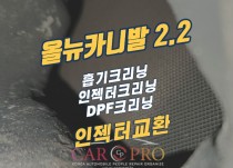 올뉴카니발 흡기크리닝/인젝터크리닝/DPF크리닝 정비