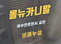 올뉴카니발 냉매누설 정비