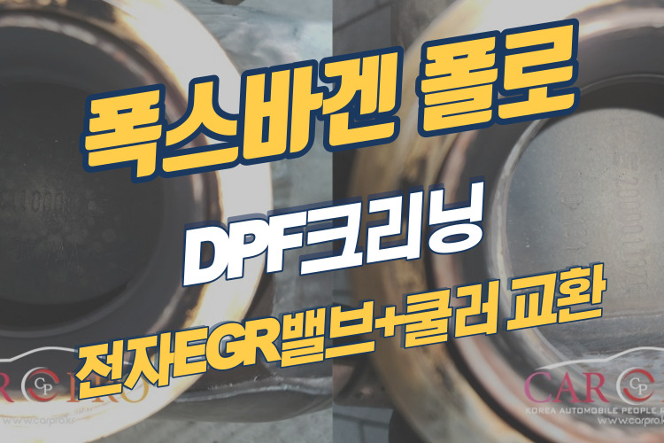 폴로-001.jpg 폴로-001.jpg