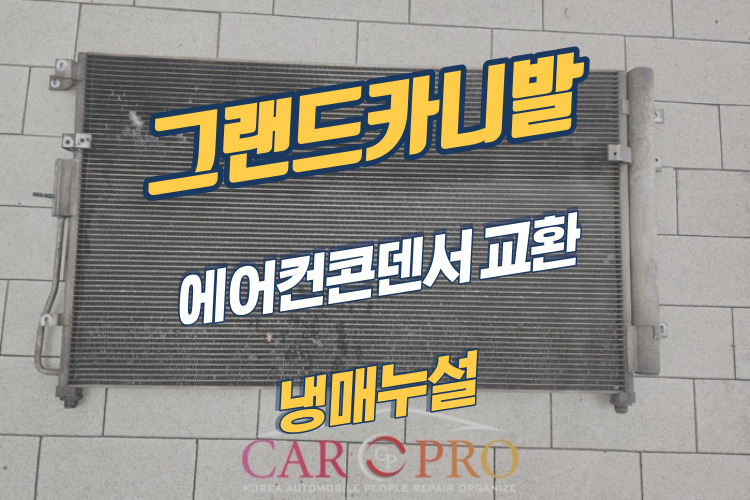 그랜드카니발-001.jpg 그랜드카니발-001.jpg