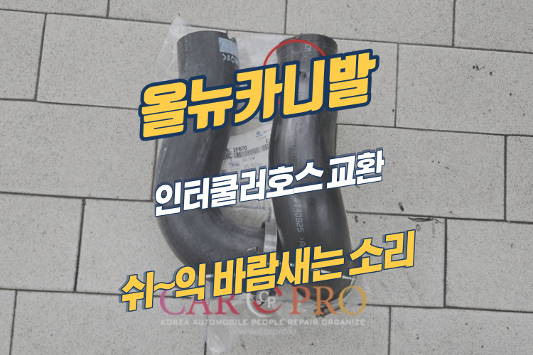 올뉴카니발-001.jpg 올뉴카니발-001.jpg