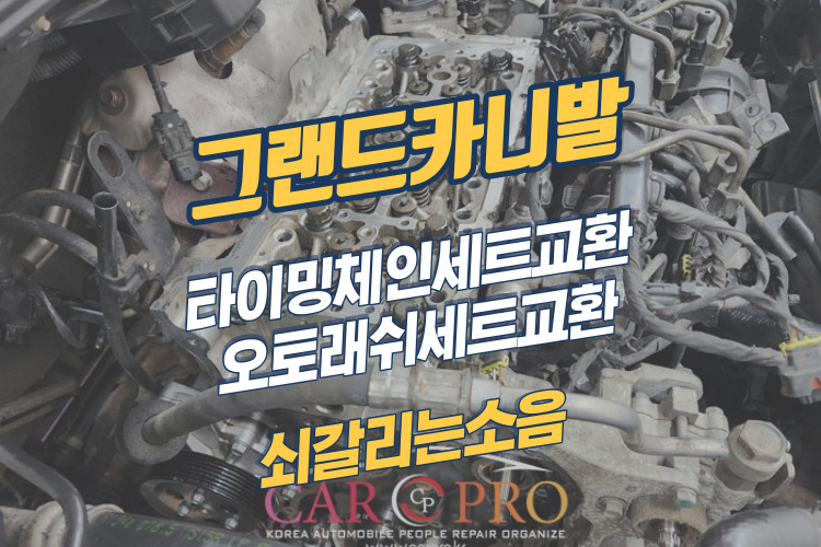 그랜드카니발-001.jpg 그랜드카니발-001.jpg