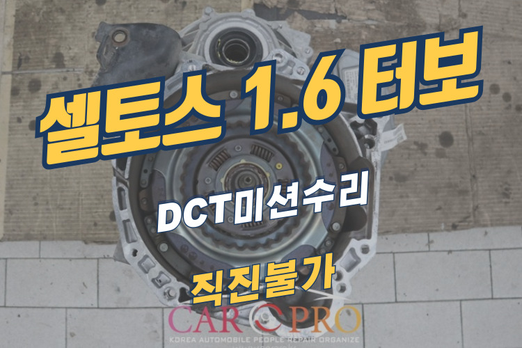셀토스-001.jpg 셀토스-001.jpg