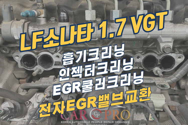 LF소나타-001.jpg LF소나타-001.jpg