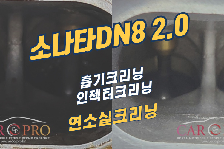 소나타-001.jpg