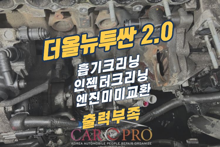 더올뉴.jpg