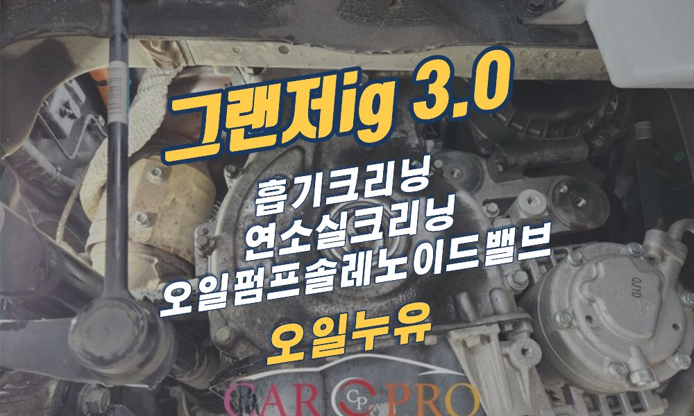 옹리누유.jpg 옹리누유.jpg